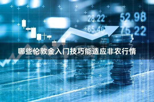哪些伦敦金入门技巧能适应非农行情