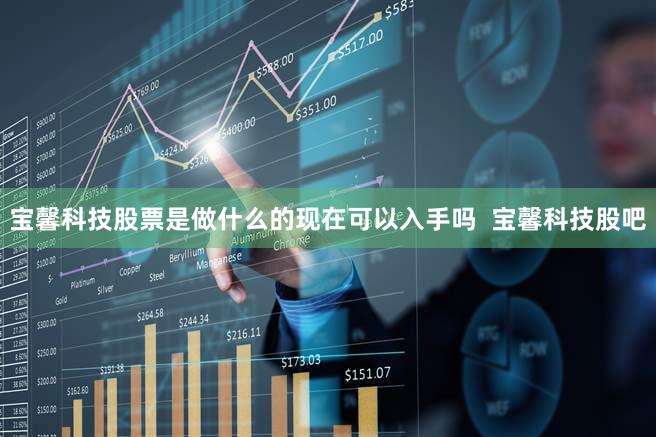 宝馨科技股票是做什么的现在可以入手吗  宝馨科技股吧