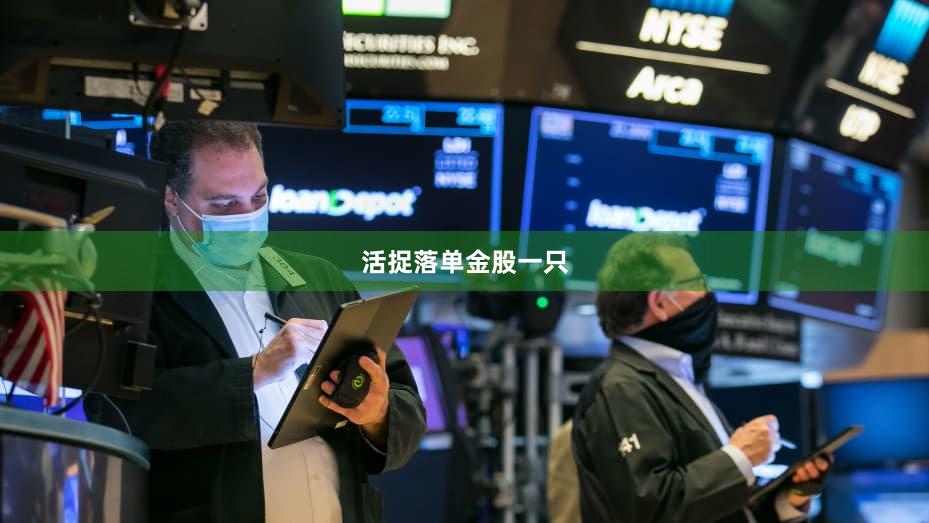 活捉落单金股一只