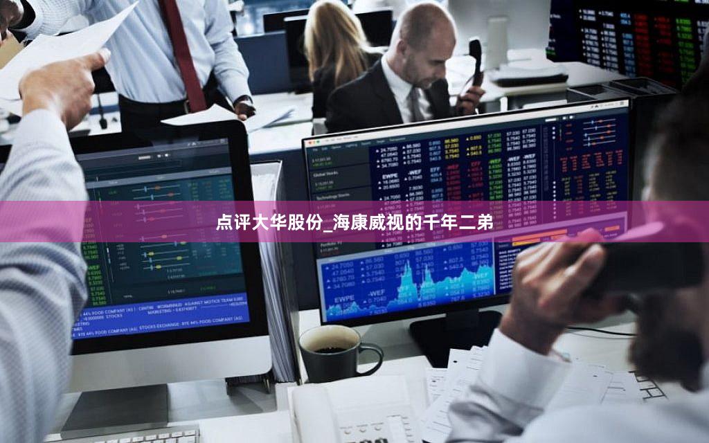 点评大华股份_海康威视的千年二弟