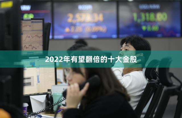 2022年有望翻倍的十大金股