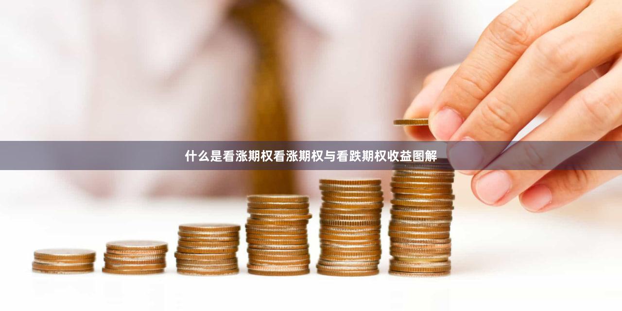 什么是看涨期权看涨期权与看跌期权收益图解