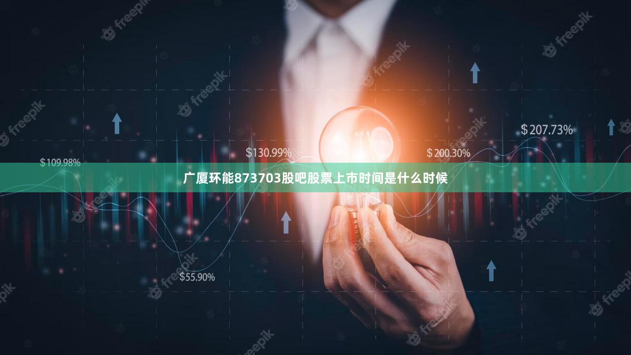 广厦环能873703股吧股票上市时间是什么时候