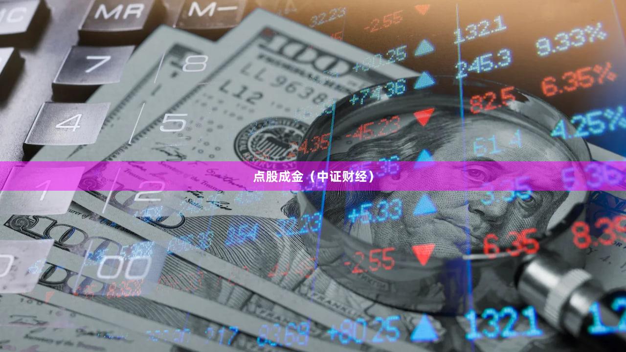 点股成金（中证财经）