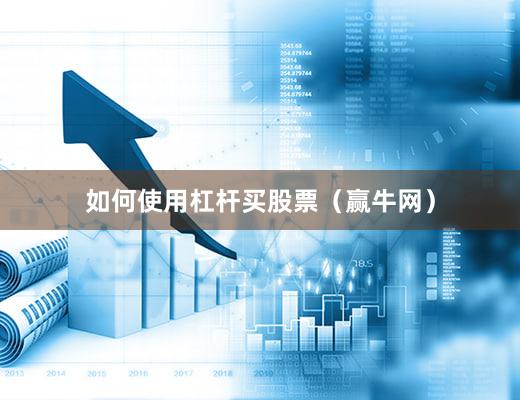 如何使用杠杆买股票（赢牛网）