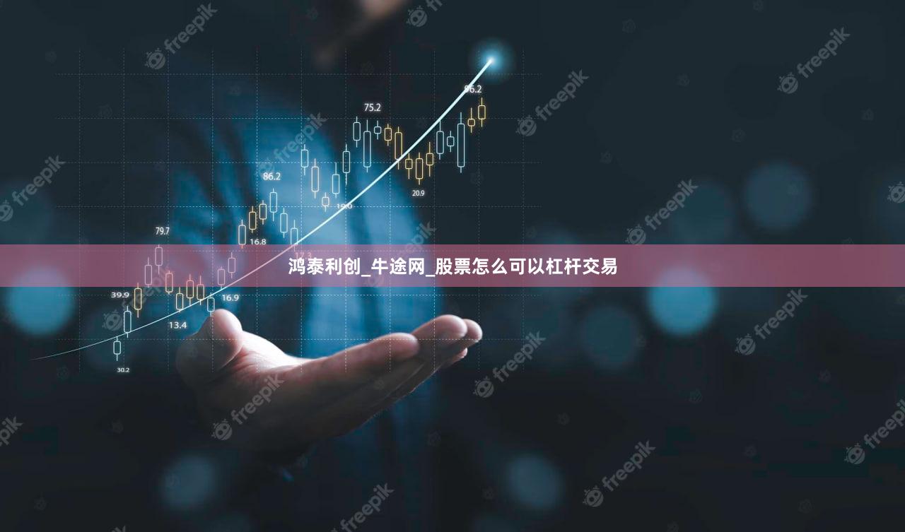 鸿泰利创_牛途网_股票怎么可以杠杆交易