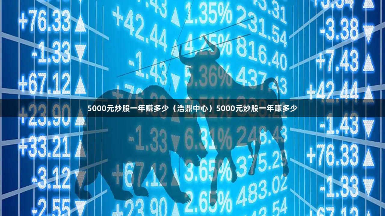 5000元炒股一年赚多少（浩鼎中心）5000元炒股一年赚多少