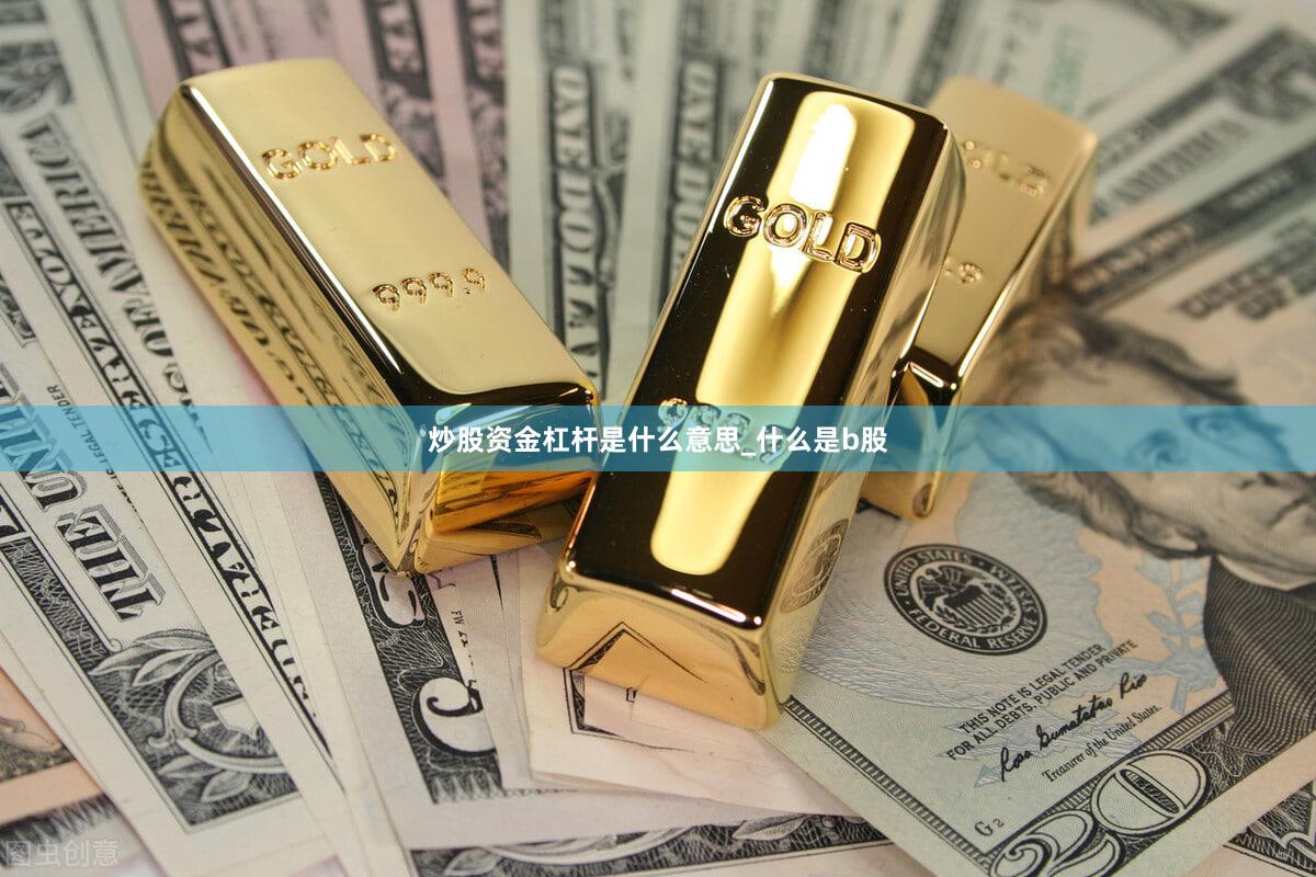 炒股资金杠杆是什么意思_什么是b股