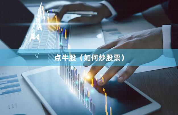 点牛股（如何炒股票）
