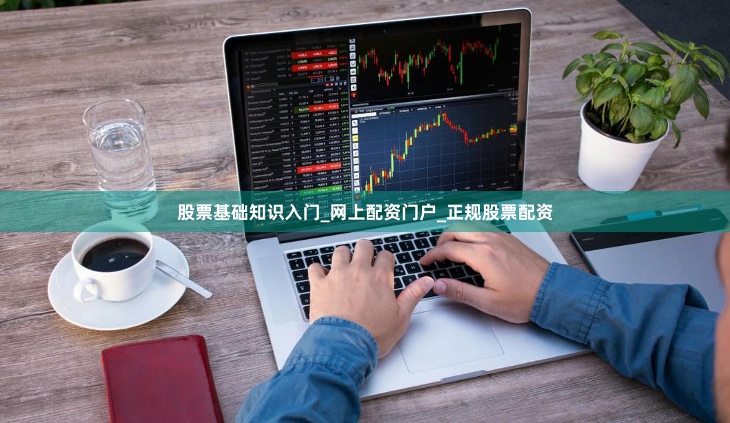 股票基础知识入门_网上配资门户_正规股票配资