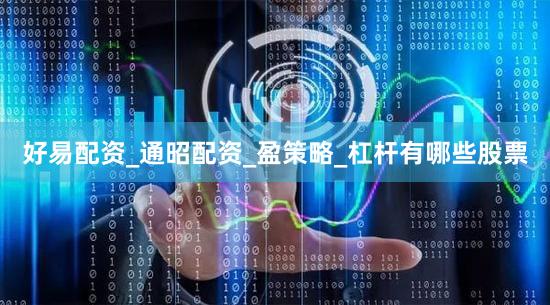 好易配资_通昭配资_盈策略_杠杆有哪些股票
