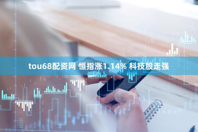tou68配资网 恒指涨1.14% 科技股走强