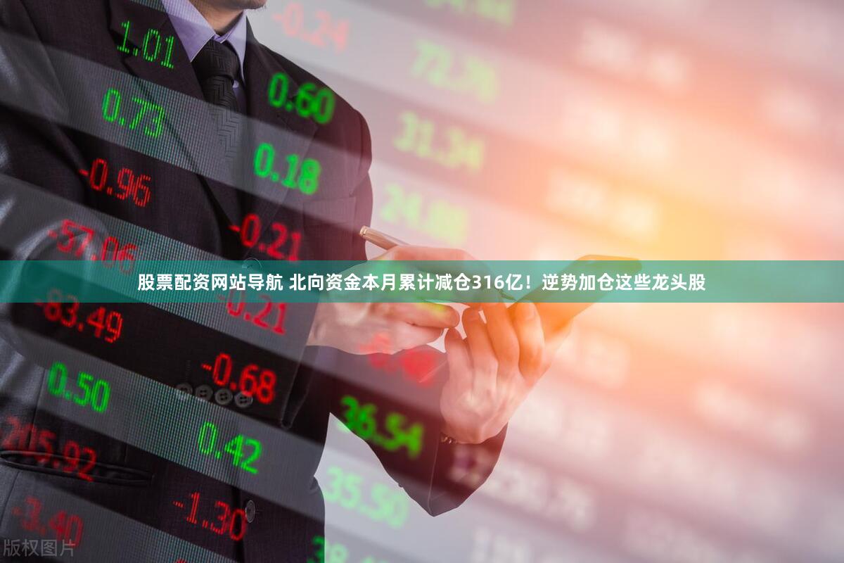 股票配资网站导航 北向资金本月累计减仓316亿！逆势加仓这些龙头股