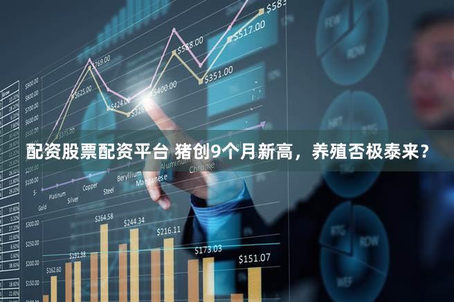 配资股票配资平台 猪创9个月新高，<a href=
