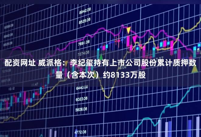 配资网址 威派格：李纪玺持有上市公司股份累计质押数量（含本次）约8133万股