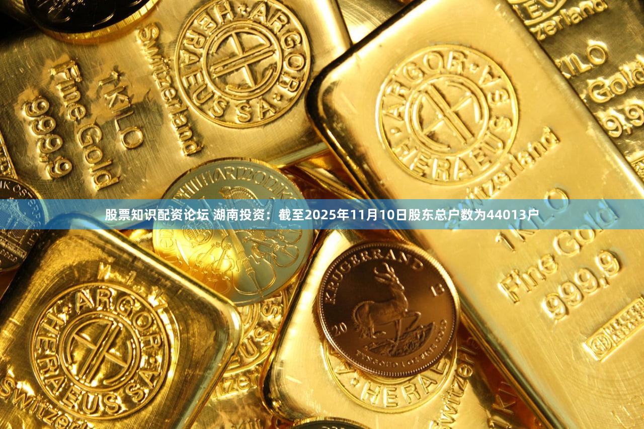 股票知识配资论坛 湖南投资:截至2025年11月10日股东总户数为44013户