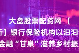 大盘股票配资网 【财经分析】银行保险机构以汩汩金融“甘泉”滋养乡村振兴“幸福田”